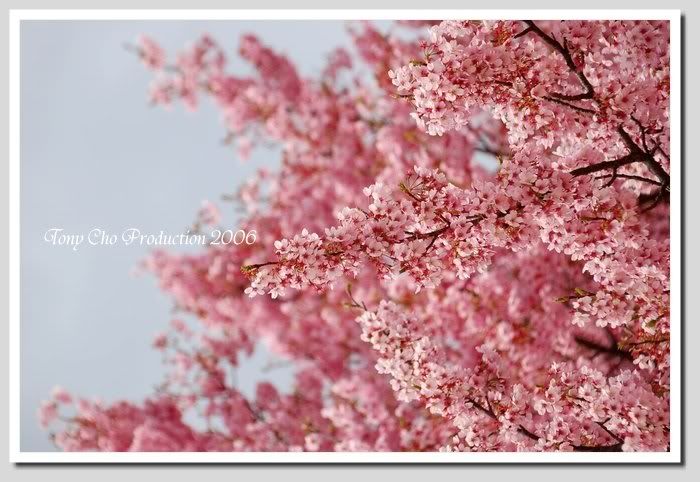 Image hosting by Photobucket