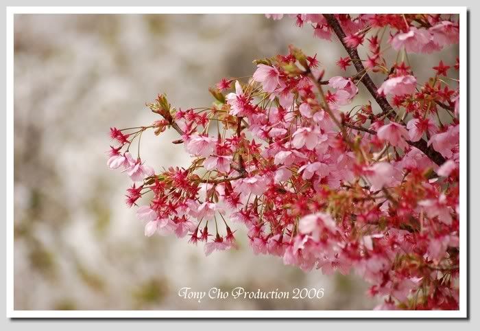 Image hosting by Photobucket