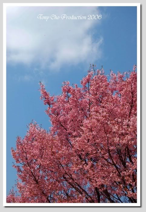 Image hosting by Photobucket