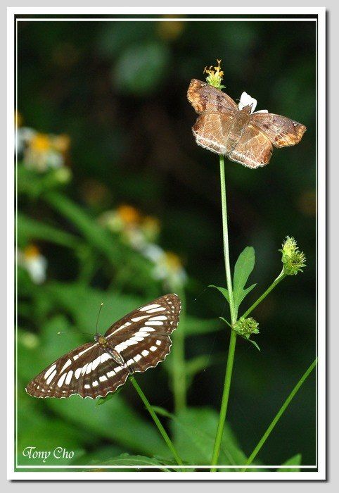 Photobucket - Video and Image Hosting