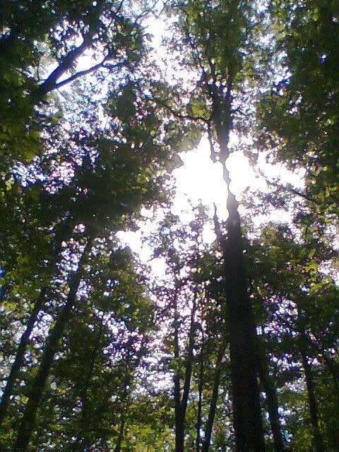 Image042.jpg