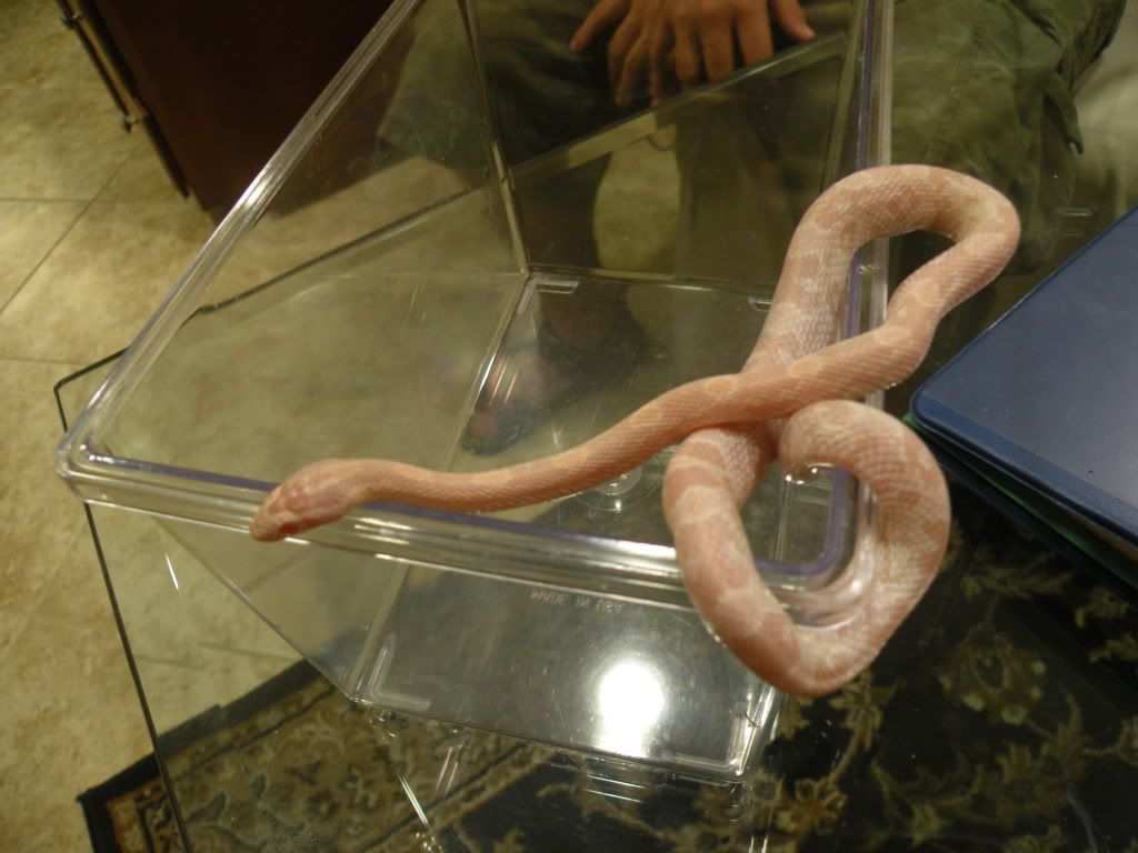 DSCN2704.jpg