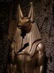 anubis Pictures, Images and Photos