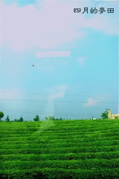 http://i26.photobucket.com/albums/c121/wxwwxw/IMG_29972533536125.jpg
