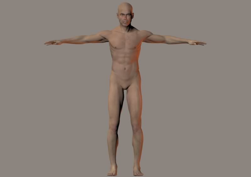 t pose reference