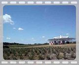 th_MOV00723.jpg