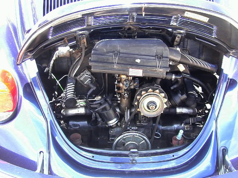 Turbocharging a Mexican Beetle