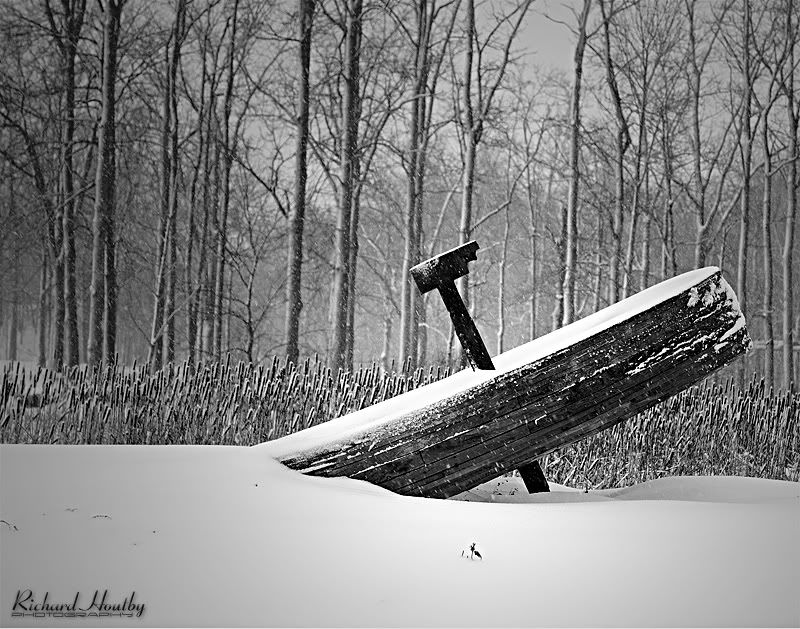 IMAGE: http://i26.photobucket.com/albums/c124/houtbyr/Landscape/PetroliaWheel4800.jpg