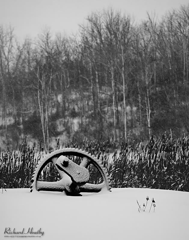 IMAGE: http://i26.photobucket.com/albums/c124/houtbyr/Landscape/PetroliaWheel4803.jpg