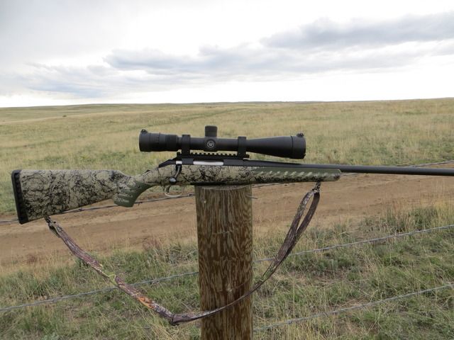 ruger american rifle stock options