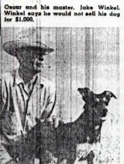 Picture of a Lacy Dog from 1956