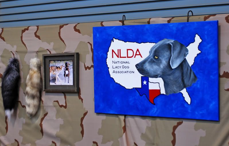 Red, white and blue Lacy pride.