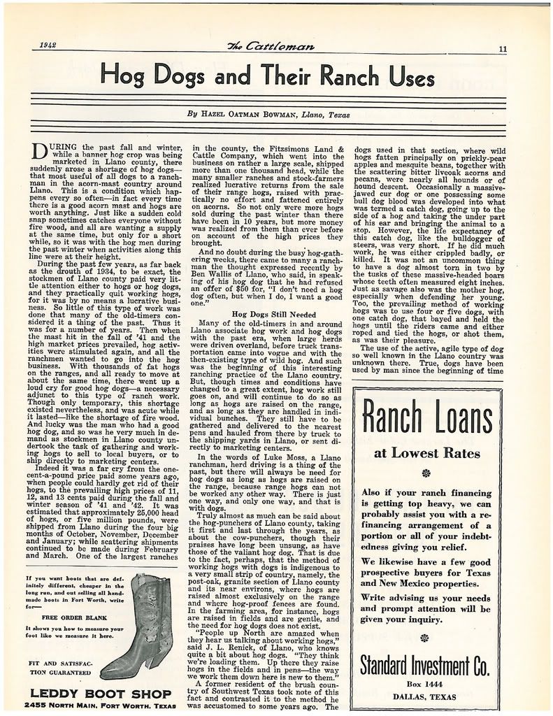 1942 article on Lacy Hog Dogs 1