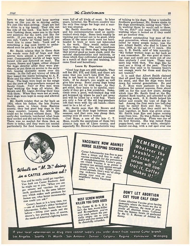 1942 article on Lacy Hog Dogs 5