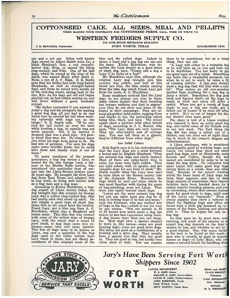 1942 article on Lacy Hog Dogs 6