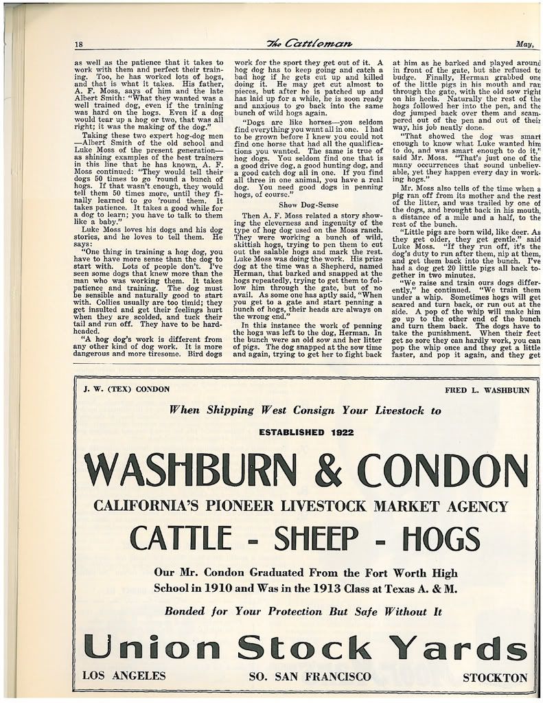 1942 article on Lacy Hog Dogs 7