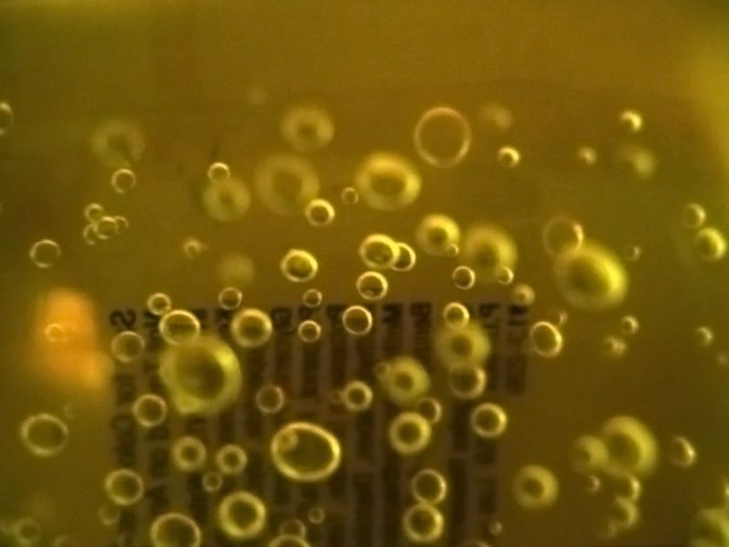 bubbles wallpaper. Bubbles Wallpaper