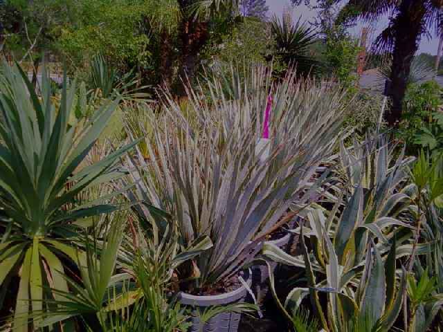 ATT05940.jpg