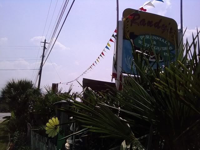 ATT06211.jpg