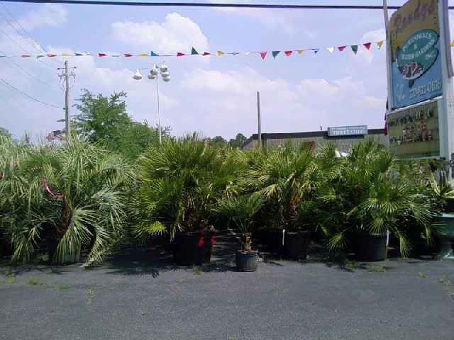 ATT06262.jpg