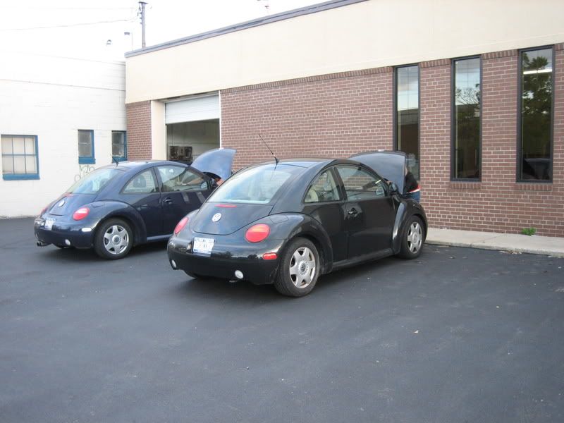 http://i26.photobucket.com/albums/c125/ohtellmelies/beetle/IMG_3246.jpg