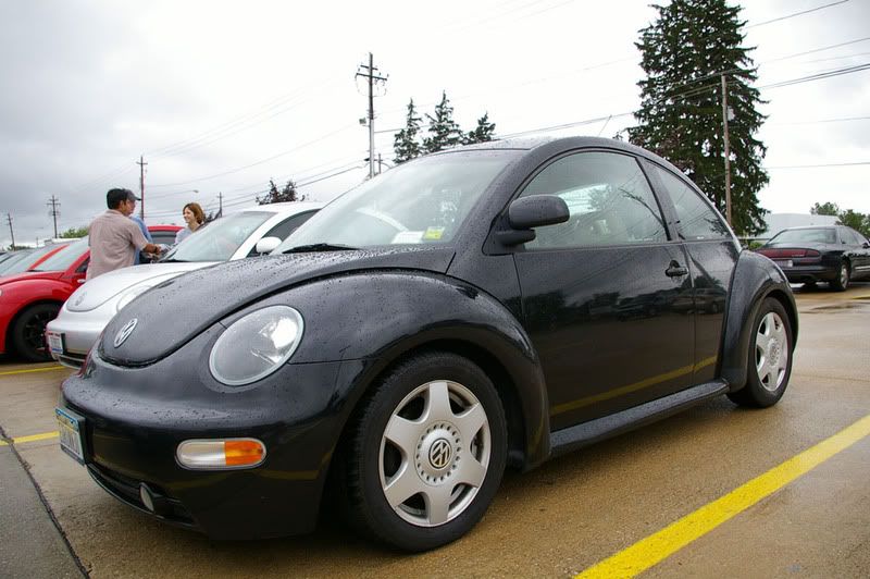 http://i26.photobucket.com/albums/c125/ohtellmelies/beetle/beetle29.jpg