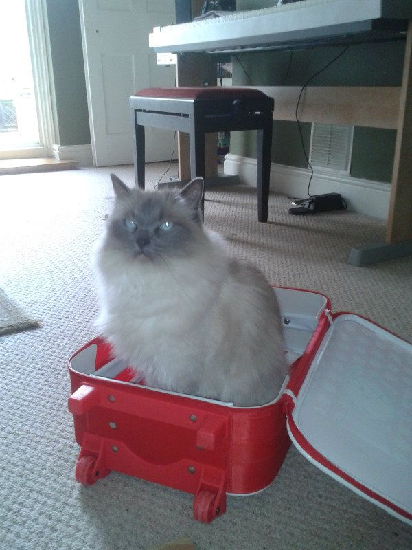 2012-07-27134043.jpg?t=1344456773