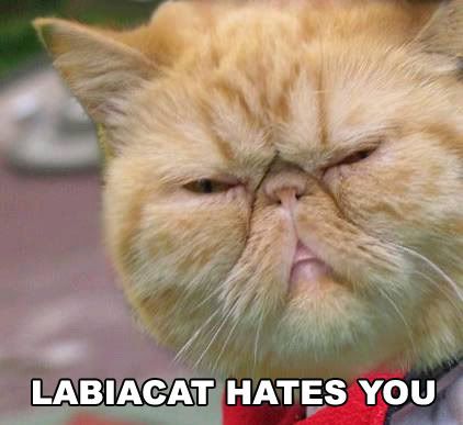 Savage - Having a bad day? Feeling negative? - RaGEZONE Forums