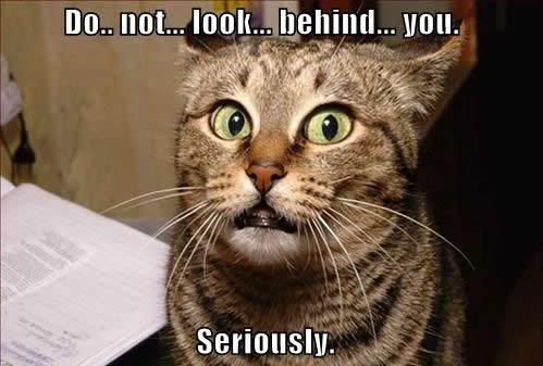 Savage - Having a bad day? Feeling negative? - RaGEZONE Forums