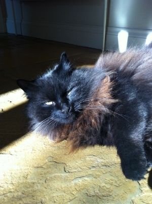 61aedd34-6fd7-4192-8cba-961599ad5d0f_zps