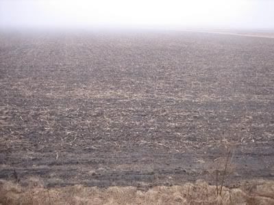 arkansas field