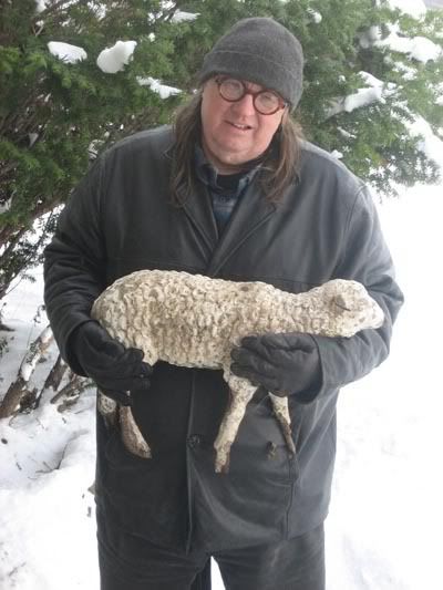 lamb in winter