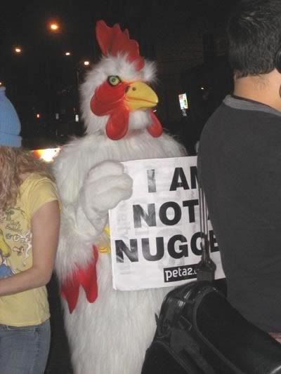 not a nugget