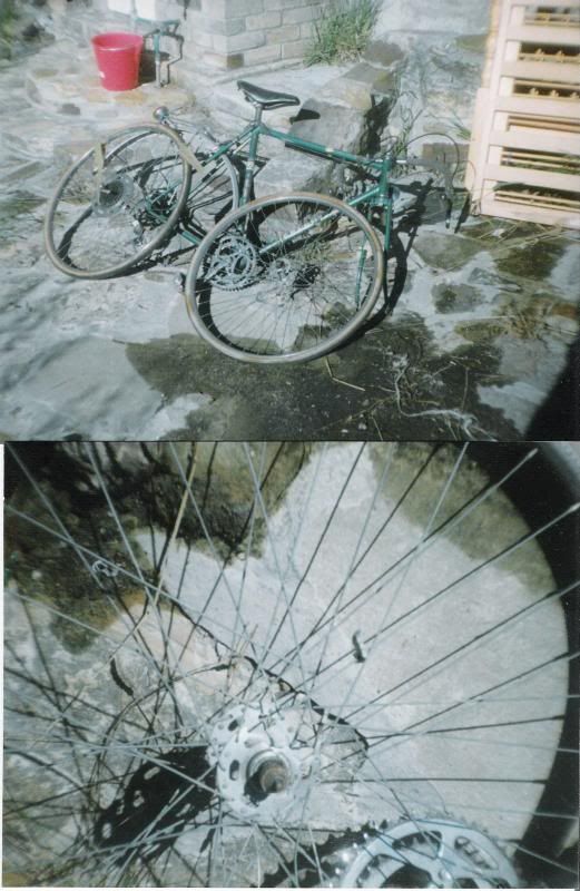 Damaged bicycle owned by William Roy, Whistleblower photo bicycle_zps1f2ec276.jpg