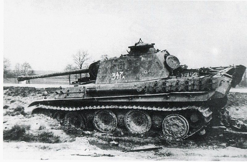 panther_zpsd748e0f4.jpg