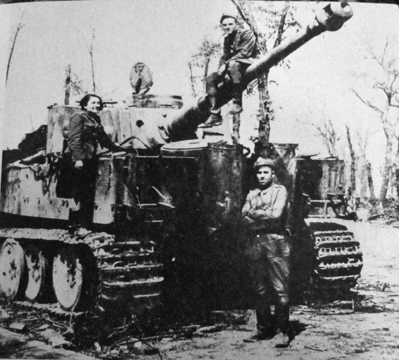 Tiger323BerlinBrandenburggateLindentrees2_zpsb596f27d.jpg