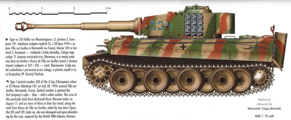 tiger1101.jpg