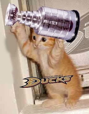 DucksCupKitten.jpg