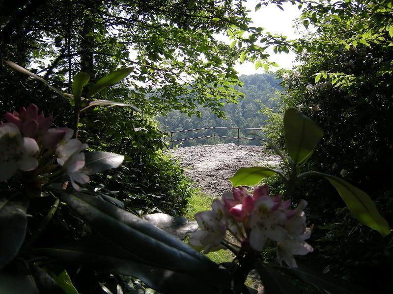 http://i26.photobucket.com/albums/c132/doog71/Motorcycle%20Rides/2008/Ride%2007-18%20thru%2019%202008/DSCN0723.jpg