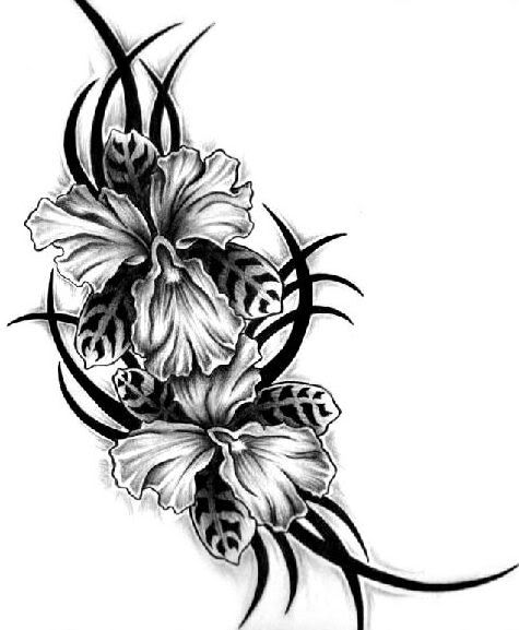 Orchid Flower Tattoo Pictures. Orchid Tribal Image
