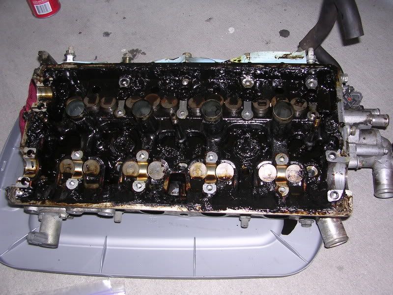 IPB Image