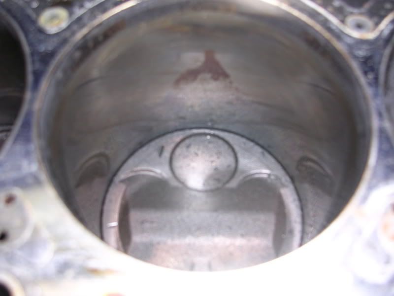 IPB Image