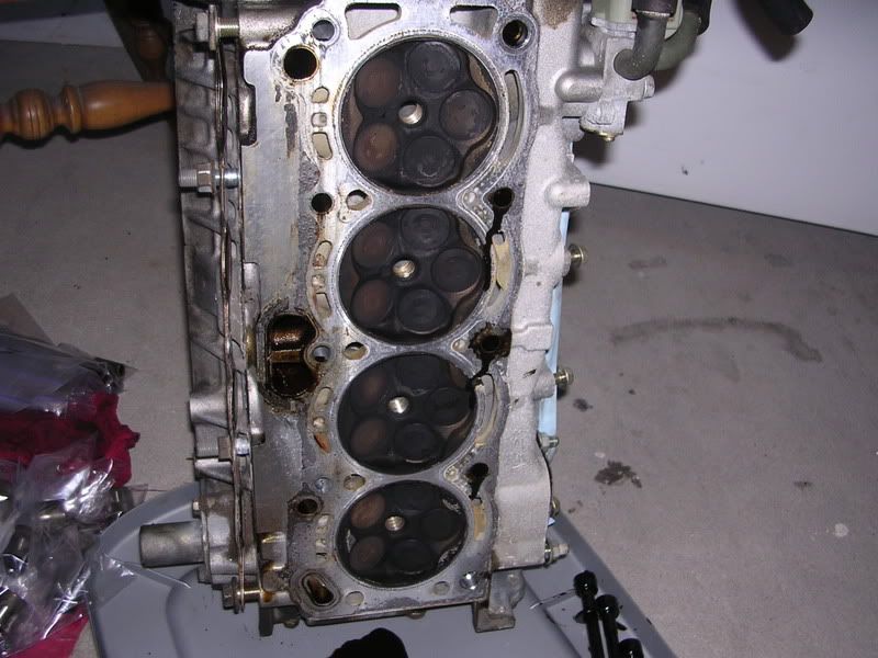 IPB Image