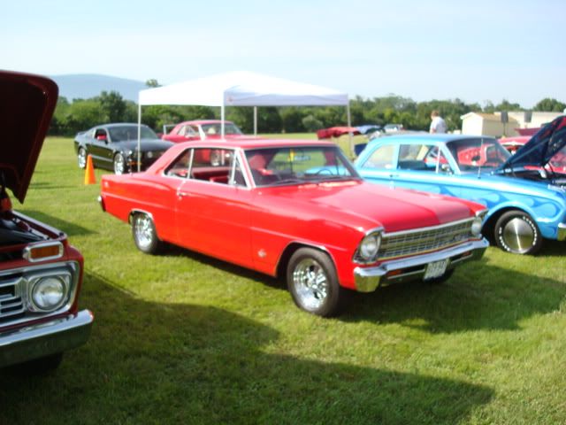 [Image: DSC05003.jpg]