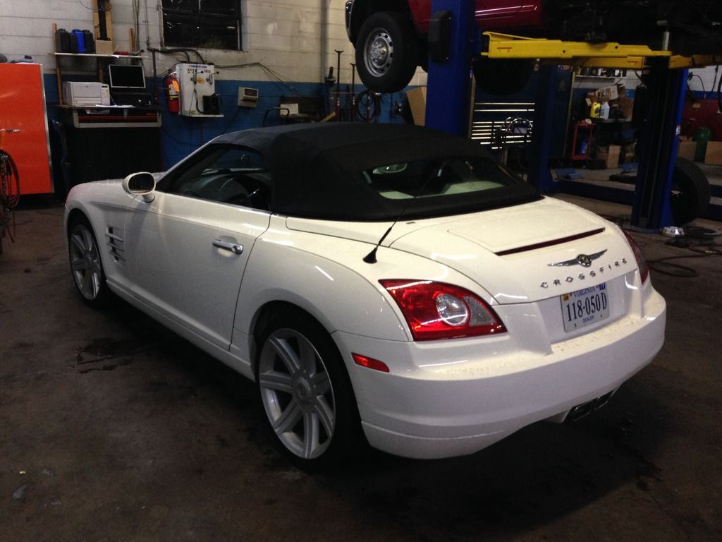 [Image: IMG_2950.jpg]