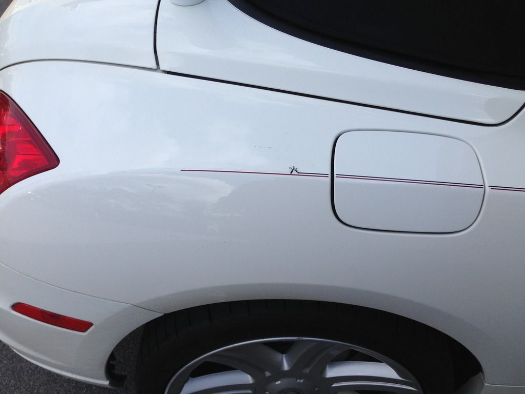 [Image: IMG_2957.jpg]