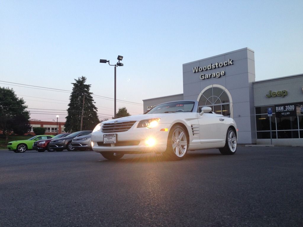 [Image: IMG_2979.jpg]