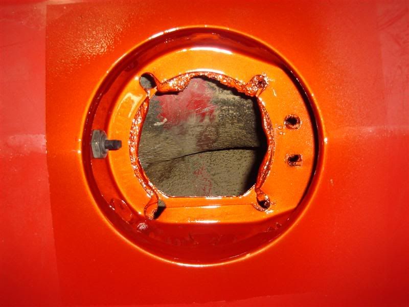 [Image: DSC00269Medium.jpg]