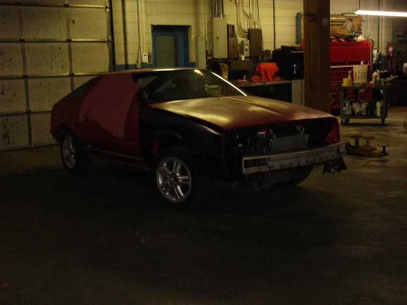 [Image: DSC00274Medium.jpg]