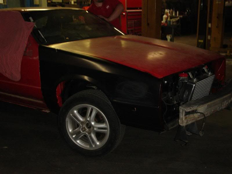 [Image: DSC00275Medium.jpg]